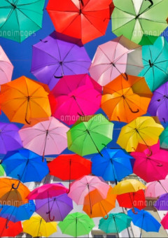 【完】「すとぷりの甘い恋」ラストシーン