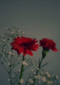 さつきのお部屋🍓🍒