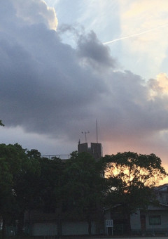 明日の月は綺麗でしょうね