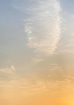 いつのまにか惚れていた