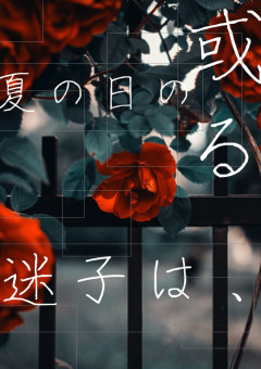或る夏の日の迷子は、【kn】