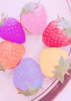 僕だけの花と君だけの花