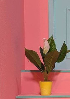 見てくれている皆様へ