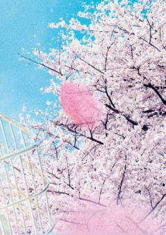 俺 を 変 え て く れ た 転 校 生