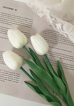 Talk 個 別 雑 談 部 屋