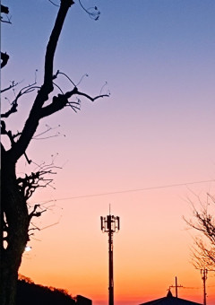 私の描いたイラスト紹介コーナー