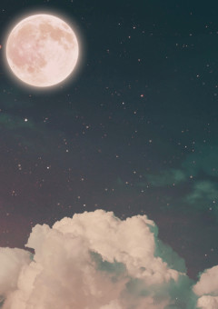 貴方は還りたいですか