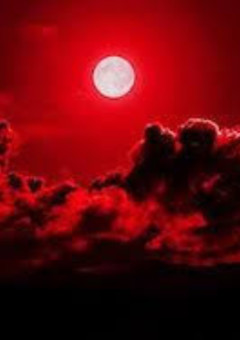 Red Moon 。共依存