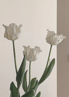 EXILETRIBE紅一点✨