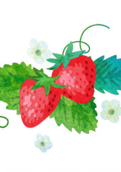 莓王子の詰め合わせはいかがですか？