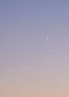 素直になれない僕達。