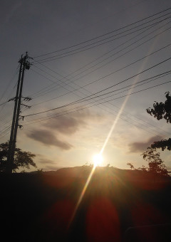 誰も知らないハッピーエンド