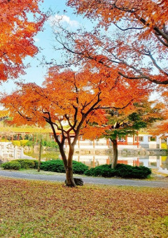 公園 背景の画像149点｜完全無料画像検索のプリ画像💓byGMO