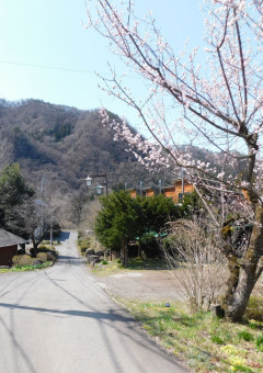 のんびり進展