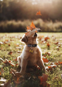 傍に居ると決めた大事な人