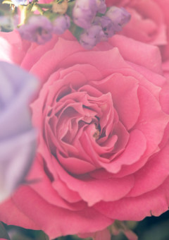 Repainting 〜第一章〜