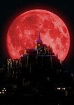 転生して神になったので前世の約束果たしに行きます