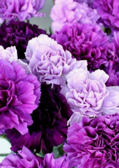 からぴちとシェアハウス！？