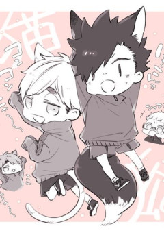 角名倫太郎の妹は音駒高校?!@活動停止中