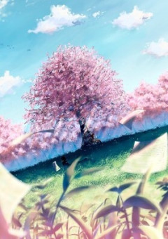 桜舞い散る春の恋