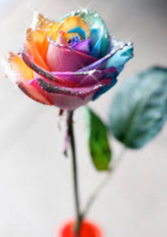 ねぇ、信じてよ。