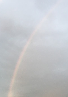 君の瞳にうつりたい