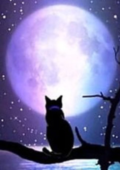 殺し屋の紅一点（連載停止）