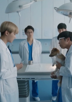 終わりがあるから美しい