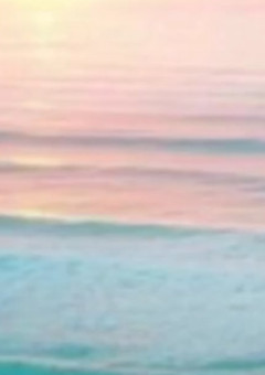 ♔💜自己紹介💜♔