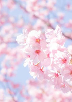 片想いは終わらない。