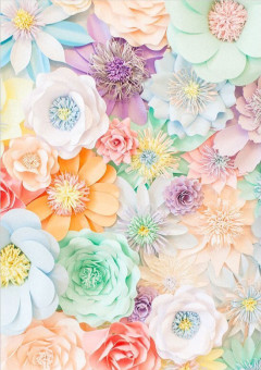 監督の妹？！？！