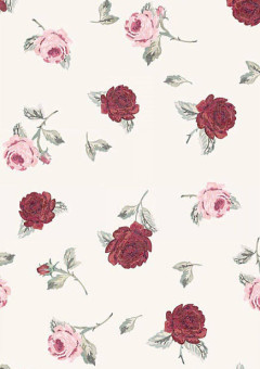 ʚ❤︎ɞ恋人日記ʚ❤︎ɞ