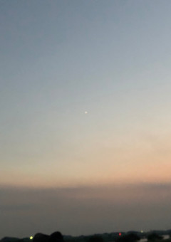 僕の生きている価値....