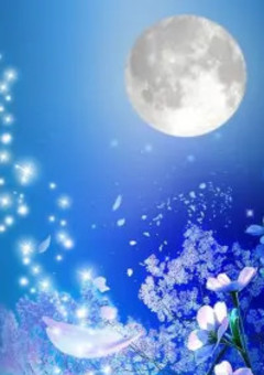 貴方に奏でるセレナーデ