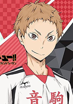 ハイキュー  夜久の妹