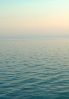 アパート暮しの野良猫と王子様♡