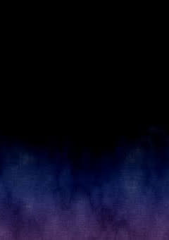 偽物兄弟 （WT ）打ち切り