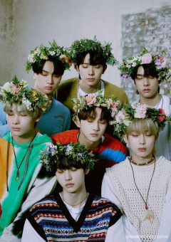 こう見えて強いです