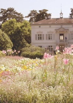 病院に住み着いた子供達