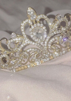 御曹司が惹かれた"宝石"