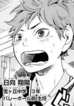 日向大好き症候群。