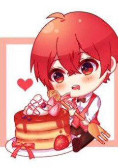 坂田家の人達の小説