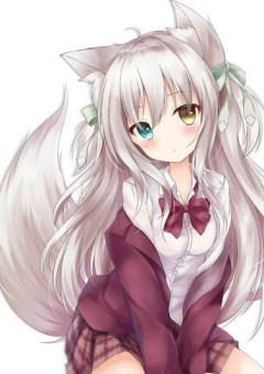 人間になった狐ちゃんは拾われる