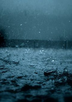 雨の日に出逢ったツギハギの君は　超絶短い&気まぐれ投稿　グロ注意