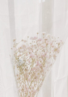 すとぷり短編集