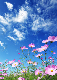 アナタが居たから