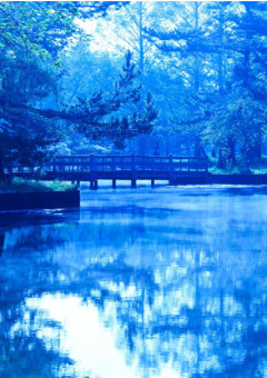 違う学校の幼馴染