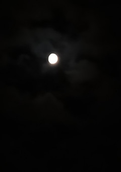 月が綺麗だから(完結)