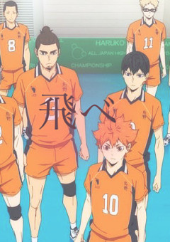 烏野高校ハイキュー部のマネージャーは白鳥沢エースの妹!?