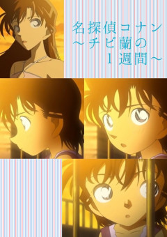 チビ蘭の１週間